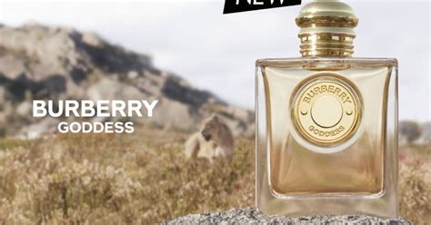 perfume burberry fragrance sample|burberry goddess perfume samples.